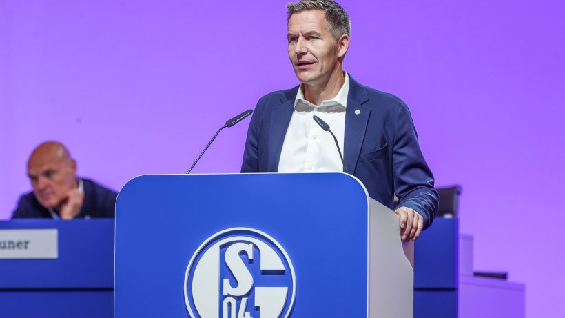 Schalke: Der neue Vorstandschef ist gefunden - Hefer bedient sich bei Trivago