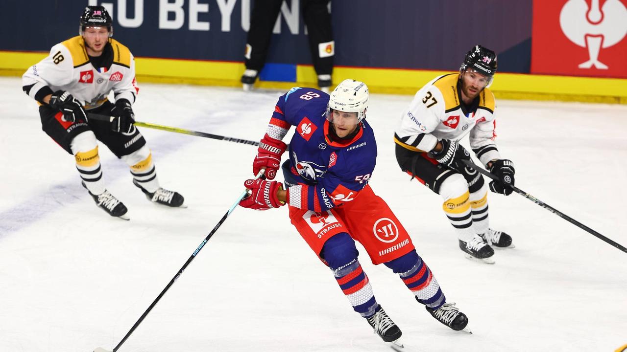 Champions Hockey League: Adler Mannheim erreichen K.o.-Runde